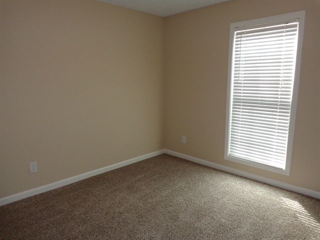Photo - 1633 Amalie Dr