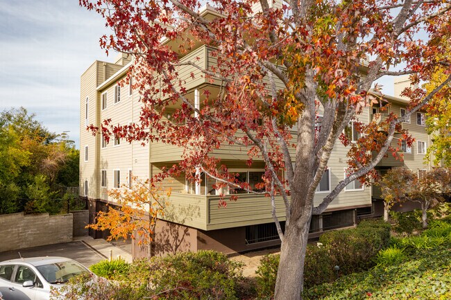 Photo - Windwater Mills