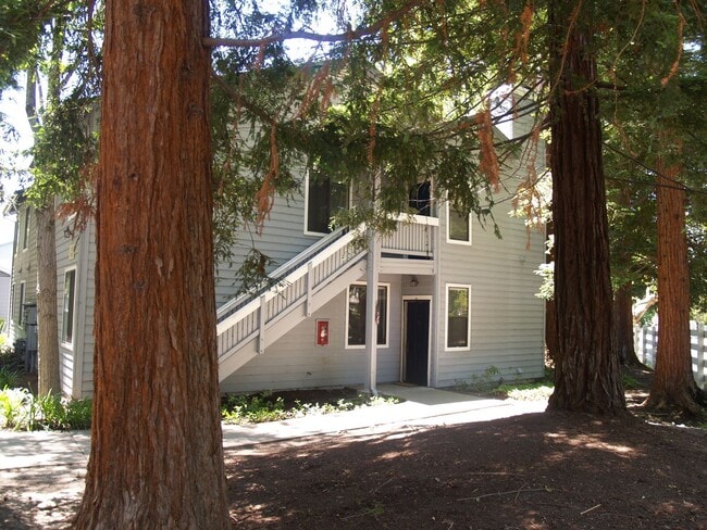 Building Photo - Beautiful, bright 3 bedroom 2 bathroom Dub... Unit D Rental