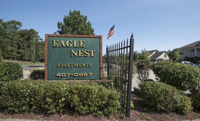 Photo - Eagle Nest