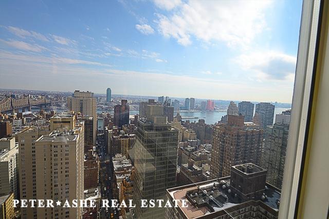 Photo - 1 bedroom in New York NY 10022 Unit 45B