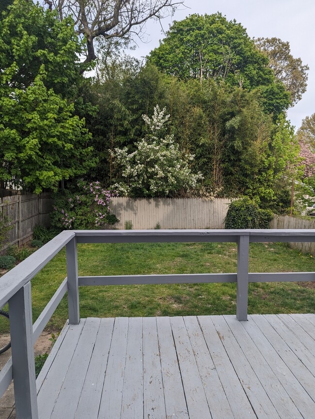 Photo - 11 Belmont St