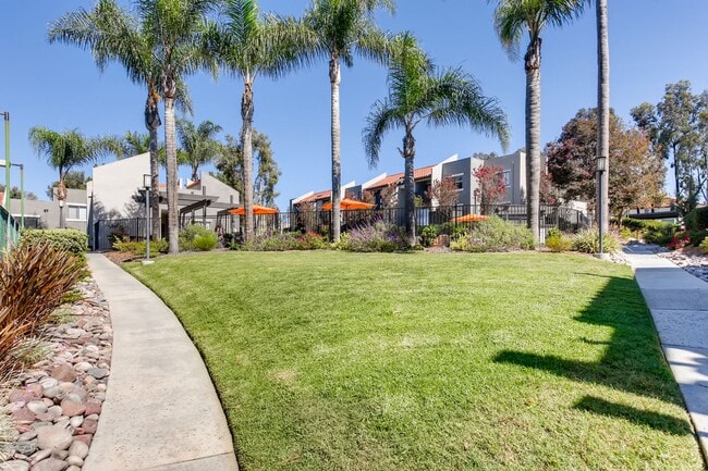 The Avenue at San Marcos