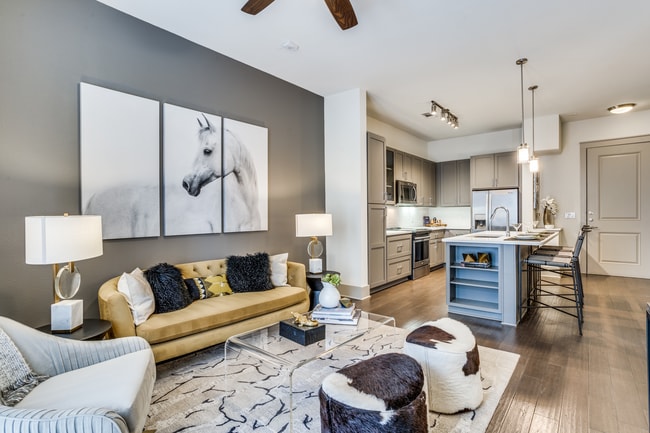 Photo - Ash at the Branch