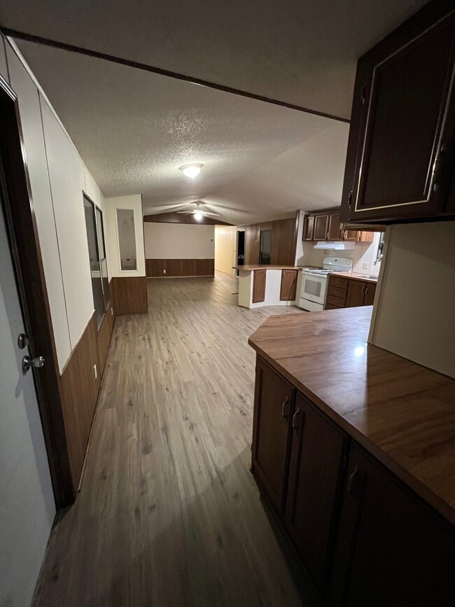 Photo - Magnolia #03