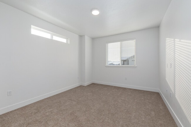Photo - Olivia Apartments