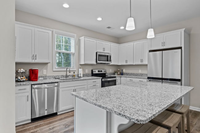 Photo - 307 Fishing Duck