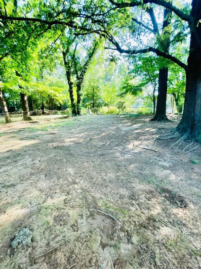 Photo - 3 bed 1.5 bath ranch style house *50% off the first month with a 12 month lease*