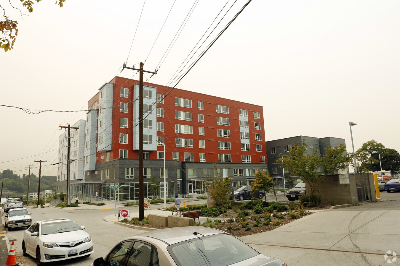 Photo - Hoa Mai Gardens