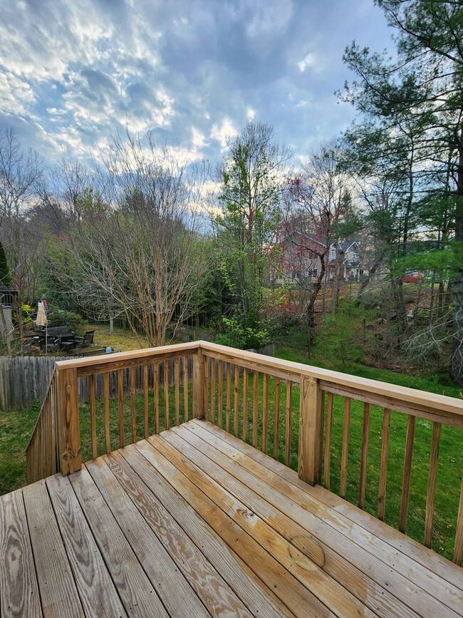 Photo - Rental House-Swannanoa, NC