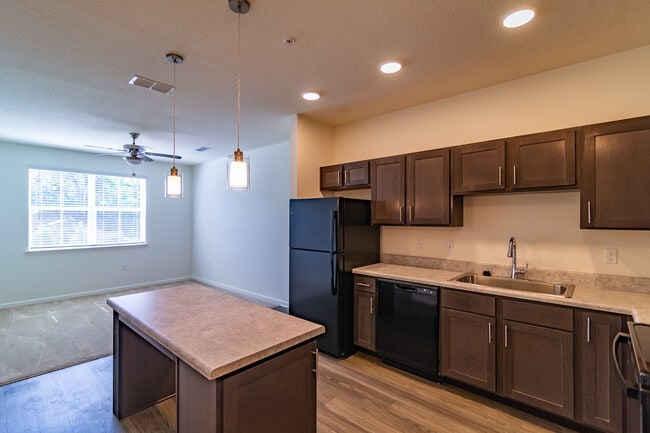 Photo - Rochester Park