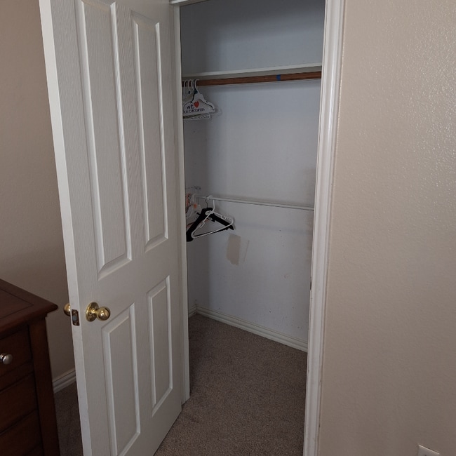 Building Photo - 4553 Jousting Ln Rental