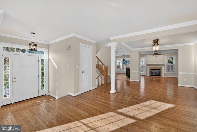 Photo - 8110 Meadow Springs Ct