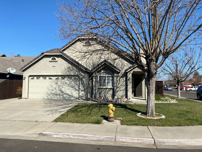Cute 3 Bedroom Home - Cute 3 Bedroom Home