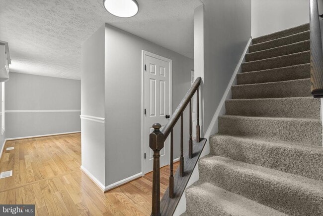 Photo - 8428 Braddock Way