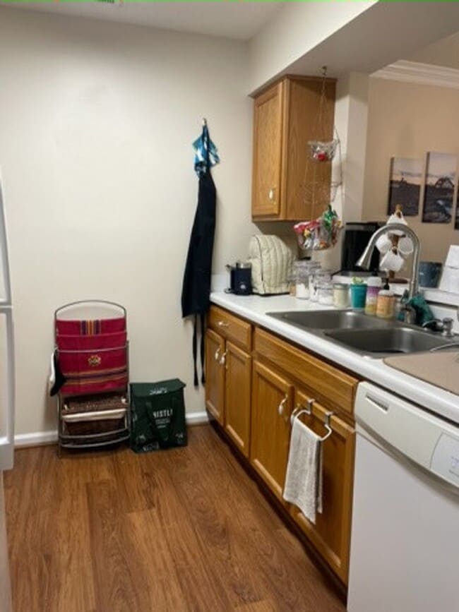 Photo - Bristol Commons