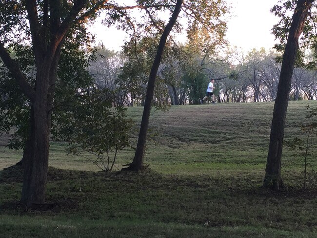 Running trails