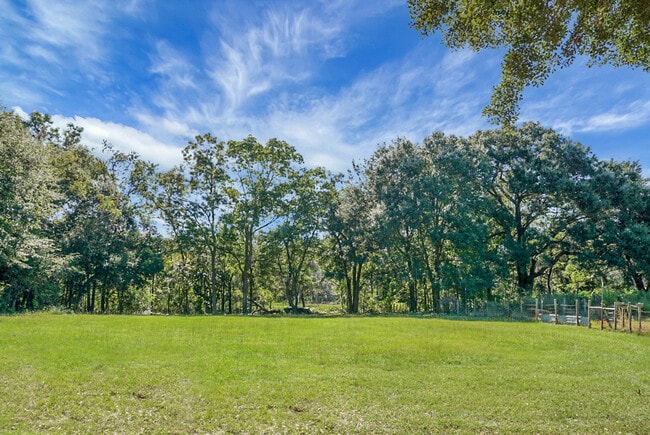 Mature oak trees shade the rear yard near the creek - 2735 Exchange Landing Rd