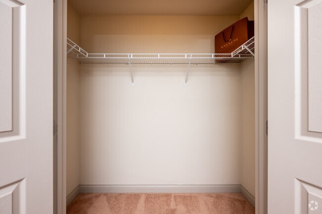 2BR, 2BA - 875SF - Primary Closet