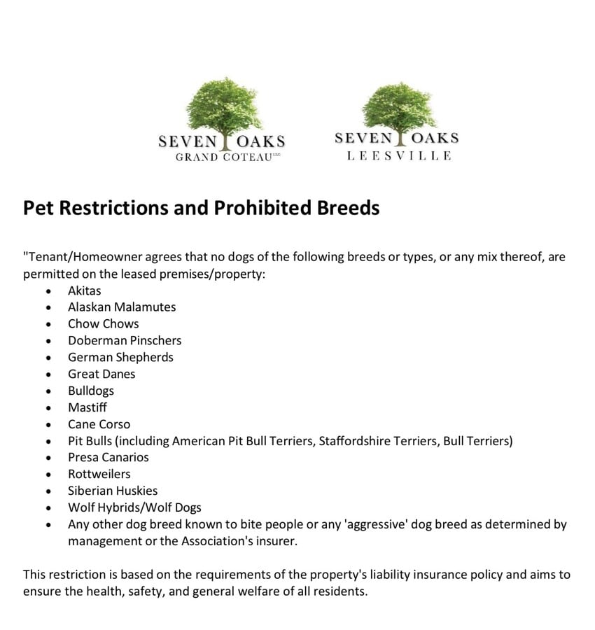 Photo - 203 Odile St