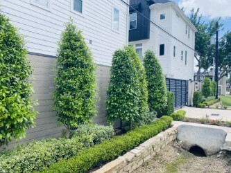 Photo - 1524 Ojeman Rd