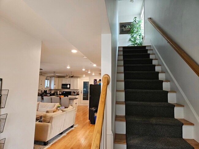14 Fern St
