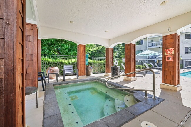 Photo - Salmon Run at Perry Creek