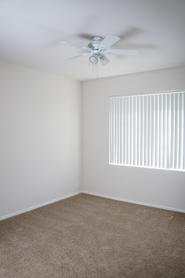 Stone Canyon Apartments Parker, CO