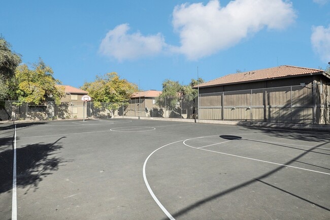 Basketball Court