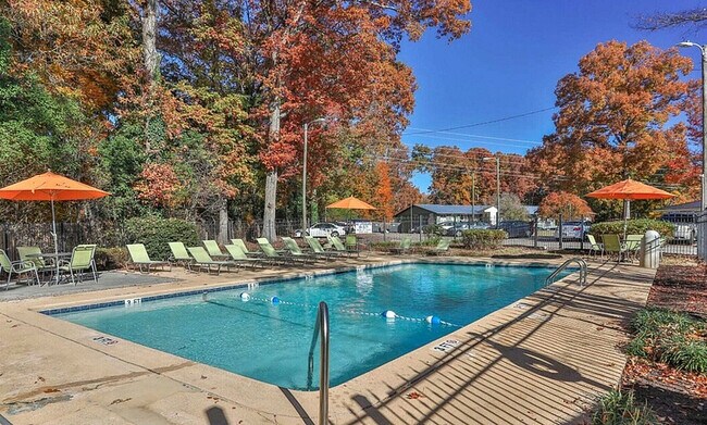 Sparkling Swimming Pool