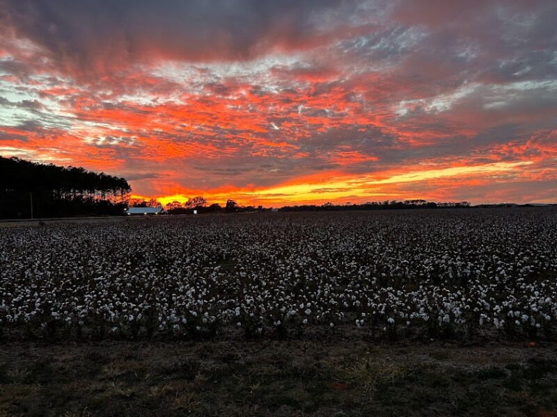 Photo - 42 Chapman Rd