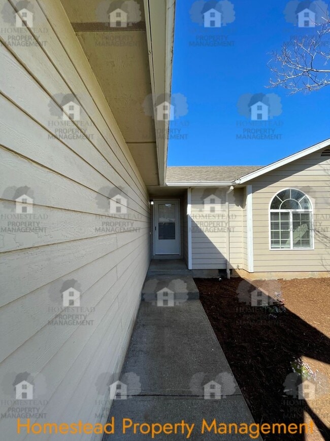 Photo - South Salem Cutie!