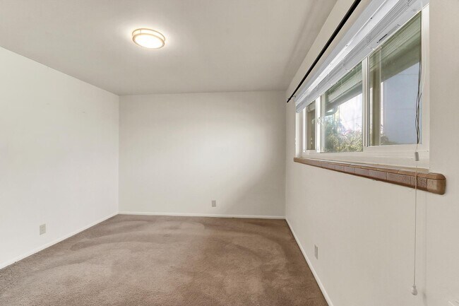 Large Bedroom. - Birch Tree Apartments