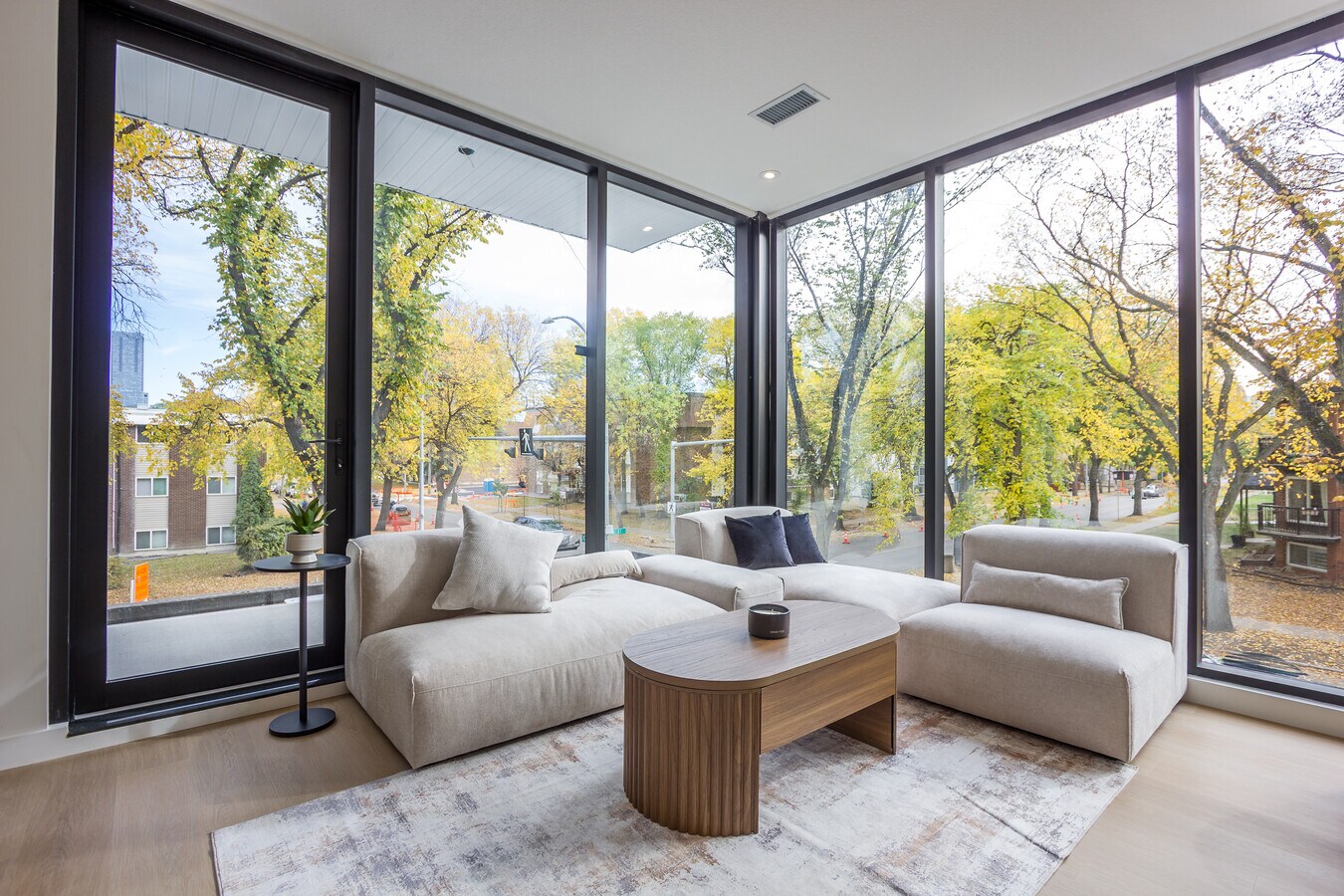 The Leston - The Leston