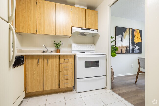 1BR, 1BA - 600SF - Kitchen - Lincoln Park Tower