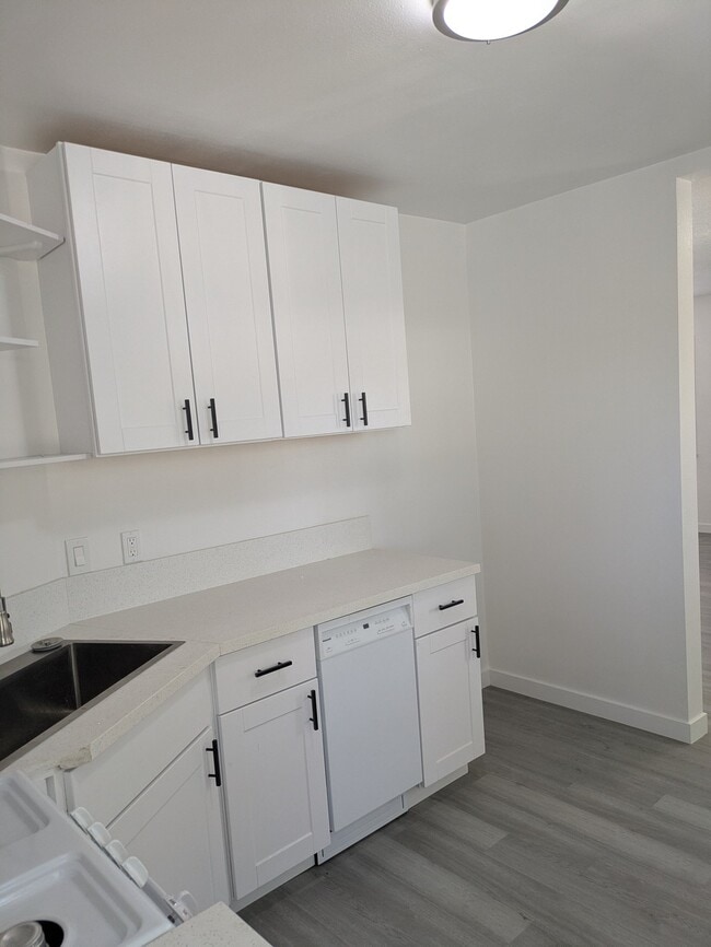 Photo - 1513 E 106th St Unit 1513