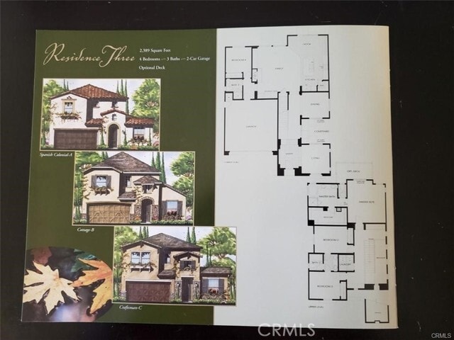 Photo - 31253 Mangrove Dr