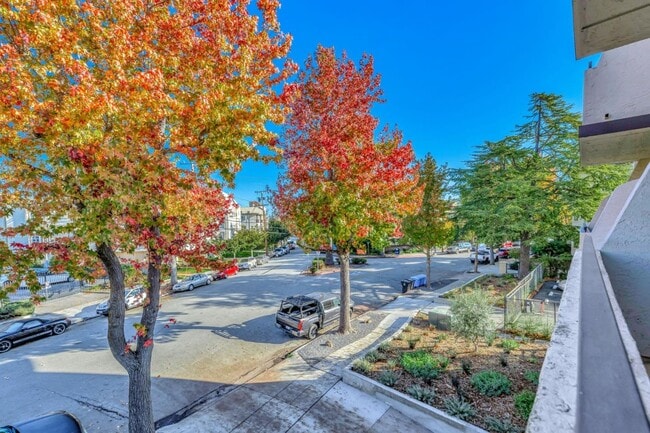 Photo - 1515 Floribunda Ave