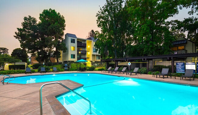 One of our two heated swimming pools