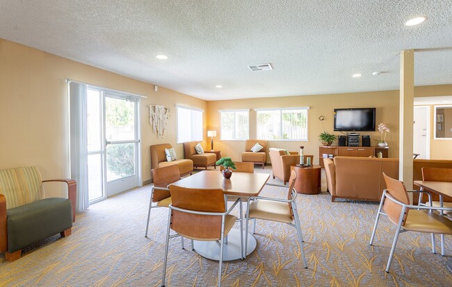 Photo - Desert Palms