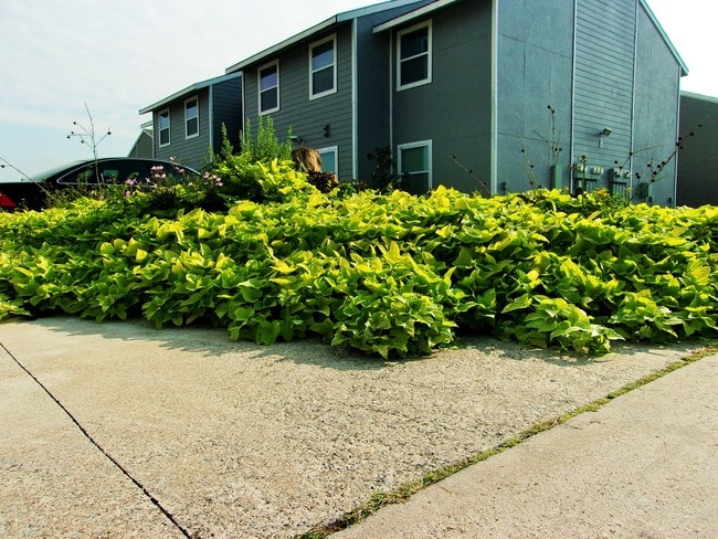 Photo - The Boulders at Bois D'Arc Creek