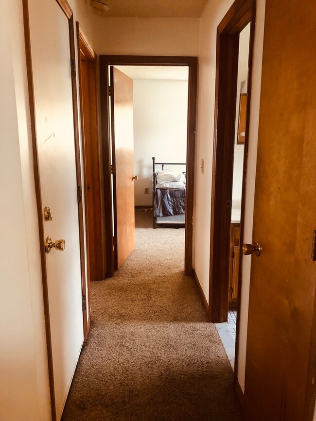 Hallway - 60 Bertha St Unit C