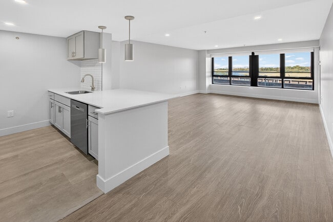 Newly Renovated Kitchens