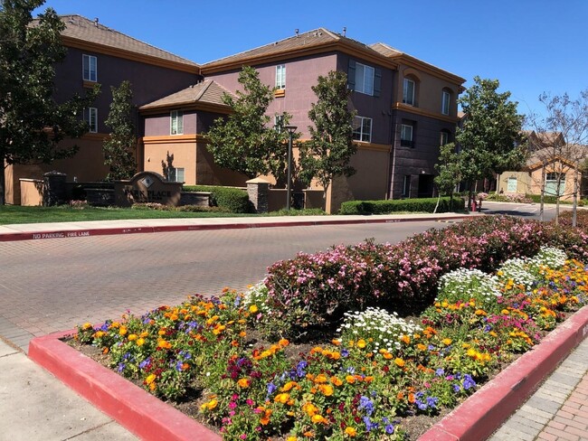 Outside the Complex