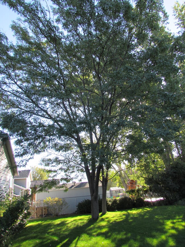 Photo - 1879 Town Meadows Ct