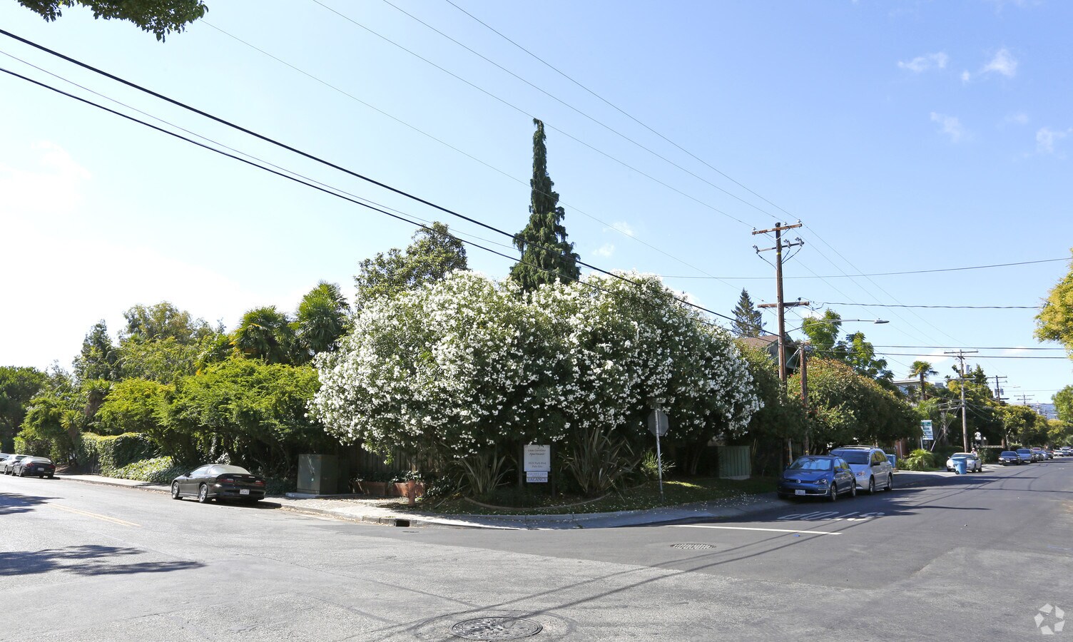 Photo - Casa Carolina Apartments