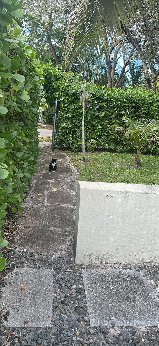 Building Photo - 2024 Taylor St Unit 2024 Taylor street