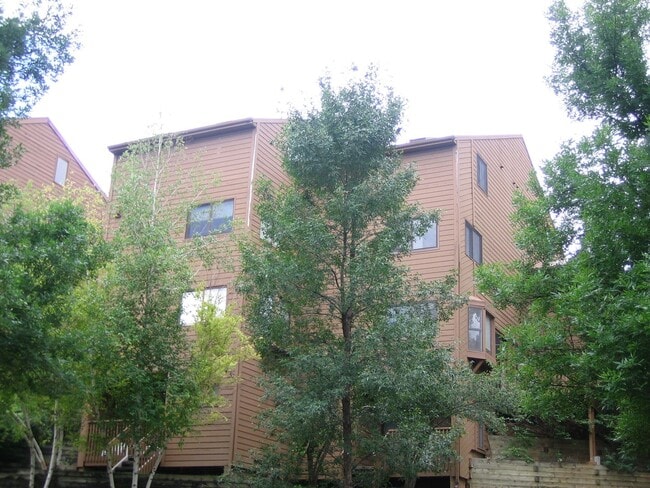 Shadow - Shadow Apartment Unit 307