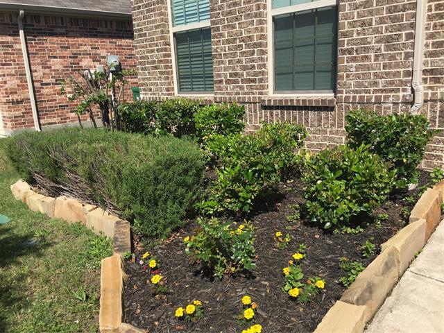 Photo - 620 Calliopsis St