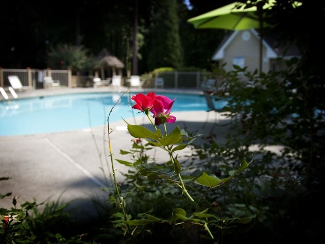 Hermoso paisaje - Brighton Way